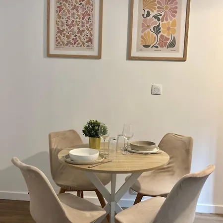 Appartement Le Rive Droite - T2 Hypercentre De *